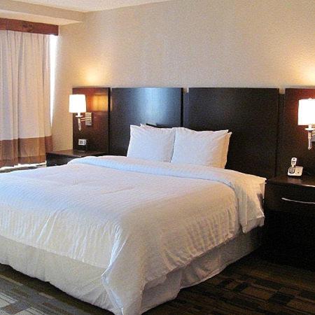 Doubletree By Hilton Greensboro Airport Habitación foto